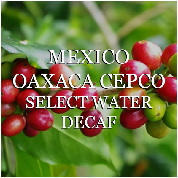 Decaf Mexico Oaxaca SWP